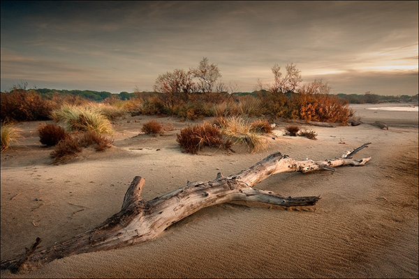 Autonne en Camargue - Yvan laussel